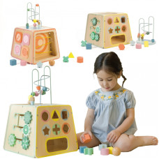 Classic World Wooden Sensory Educational Cube 6in1